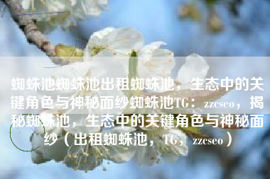 蜘蛛池蜘蛛池出租蜘蛛池，生态中的关键角色与神秘面纱蜘蛛池TG：zzcseo，揭秘蜘蛛池，生态中的关键角色与神秘面纱（出租蜘蛛池，TG，zzcseo）