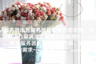 服务器出售服务器售卖服务器出售，专业解决方案满足企业需求蜘蛛池TG：zzcseo，专业服务器出售与解决方案，满足企业需求——蜘蛛池TG，zzcseo