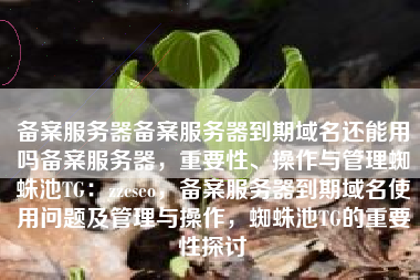 备案服务器备案服务器到期域名还能用吗备案服务器，重要性、操作与管理蜘蛛池TG：zzcseo，备案服务器到期域名使用问题及管理与操作，蜘蛛池TG的重要性探讨