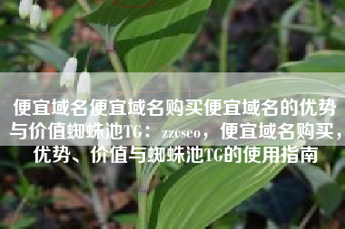 便宜域名便宜域名购买便宜域名的优势与价值蜘蛛池TG：zzcseo，便宜域名购买，优势、价值与蜘蛛池TG的使用指南