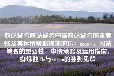 网站域名网站域名申请网站域名的重要性及其运用策略蜘蛛池TG：zzcseo，网站域名的重要性、申请策略及运用指南，蜘蛛池TG与zzcseo的独到见解