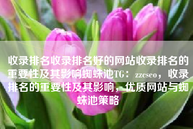 收录排名收录排名好的网站收录排名的重要性及其影响蜘蛛池TG：zzcseo，收录排名的重要性及其影响，优质网站与蜘蛛池策略
