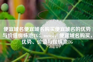 便宜域名便宜域名购买便宜域名的优势与价值蜘蛛池TG：zzcseo，便宜域名购买，优势、价值与蜘蛛池TG