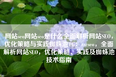 网站seo网站seo是什么全面解析网站SEO，优化策略与实践蜘蛛池TG：zzcseo，全面解析网站SEO，优化策略、实践及蜘蛛池技术指南