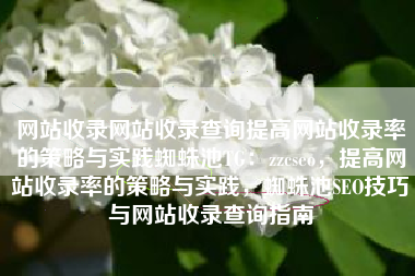 网站收录网站收录查询提高网站收录率的策略与实践蜘蛛池TG：zzcseo，提高网站收录率的策略与实践，蜘蛛池SEO技巧与网站收录查询指南