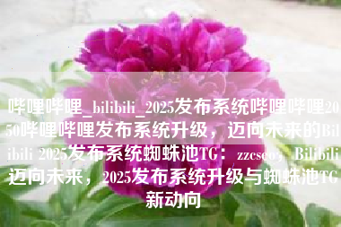 哔哩哔哩_bilibili_2025发布系统哔哩哔哩2050哔哩哔哩发布系统升级，迈向未来的Bilibili 2025发布系统蜘蛛池TG：zzcseo，Bilibili迈向未来，2025发布系统升级与蜘蛛池TG新动向