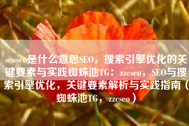 seoseo是什么意思SEO，搜索引擎优化的关键要素与实践蜘蛛池TG：zzcseo，SEO与搜索引擎优化，关键要素解析与实践指南（蜘蛛池TG，zzcseo）