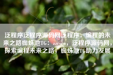 泛程序泛程序源码网泛程序，编程的未来之路蜘蛛池TG：zzcseo，泛程序源码网，探索编程未来之路，蜘蛛池TG助力发展