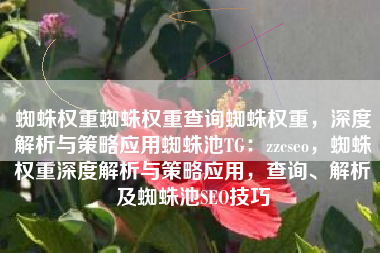 蜘蛛权重蜘蛛权重查询蜘蛛权重，深度解析与策略应用蜘蛛池TG：zzcseo，蜘蛛权重深度解析与策略应用，查询、解析及蜘蛛池SEO技巧