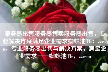 服务器出售服务器售卖服务器出售，专业解决方案满足企业需求蜘蛛池TG：zzcseo，专业服务器出售与解决方案，满足企业需求——蜘蛛池TG，zzcseo