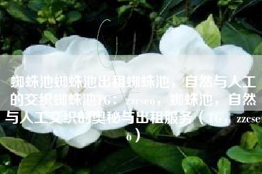 蜘蛛池蜘蛛池出租蜘蛛池，自然与人工的交织蜘蛛池TG：zzcseo，蜘蛛池，自然与人工交织的奥秘与出租服务（TG，zzcseo）