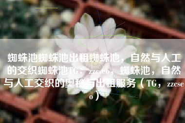 蜘蛛池蜘蛛池出租蜘蛛池，自然与人工的交织蜘蛛池TG：zzcseo，蜘蛛池，自然与人工交织的奥秘与出租服务（TG，zzcseo）