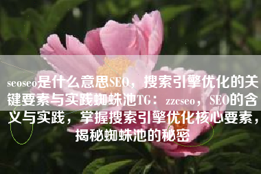 seoseo是什么意思SEO，搜索引擎优化的关键要素与实践蜘蛛池TG：zzcseo，SEO的含义与实践，掌握搜索引擎优化核心要素，揭秘蜘蛛池的秘密