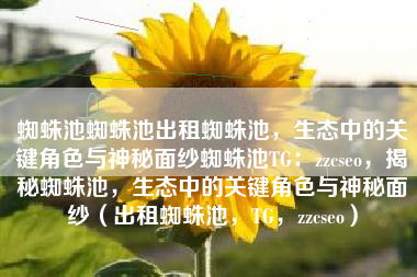 蜘蛛池蜘蛛池出租蜘蛛池，生态中的关键角色与神秘面纱蜘蛛池TG：zzcseo，揭秘蜘蛛池，生态中的关键角色与神秘面纱（出租蜘蛛池，TG，zzcseo）