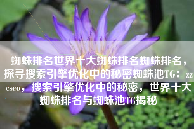 蜘蛛排名世界十大蜘蛛排名蜘蛛排名，探寻搜索引擎优化中的秘密蜘蛛池TG：zzcseo，搜索引擎优化中的秘密，世界十大蜘蛛排名与蜘蛛池TG揭秘