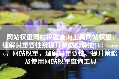 网站权重网站权重查询工具网站权重，理解其重要性及提升策略蜘蛛池TG：zzcseo，网站权重，理解其重要性、提升策略及使用网站权重查询工具