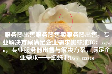 服务器出售服务器售卖服务器出售，专业解决方案满足企业需求蜘蛛池TG：zzcseo，专业服务器出售与解决方案，满足企业需求——蜘蛛池TG，zzcseo