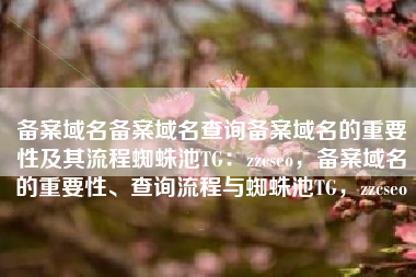 备案域名备案域名查询备案域名的重要性及其流程蜘蛛池TG：zzcseo，备案域名的重要性、查询流程与蜘蛛池TG，zzcseo