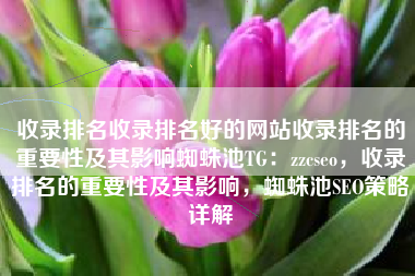 收录排名收录排名好的网站收录排名的重要性及其影响蜘蛛池TG：zzcseo，收录排名的重要性及其影响，蜘蛛池SEO策略详解