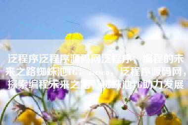 泛程序泛程序源码网泛程序，编程的未来之路蜘蛛池TG：zzcseo，泛程序源码网，探索编程未来之路，蜘蛛池TG助力发展