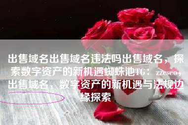 出售域名出售域名违法吗出售域名，探索数字资产的新机遇蜘蛛池TG：zzcseo，出售域名，数字资产的新机遇与法规边缘探索