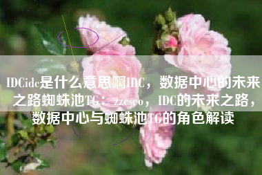 IDCidc是什么意思啊IDC，数据中心的未来之路蜘蛛池TG：zzcseo，IDC的未来之路，数据中心与蜘蛛池TG的角色解读