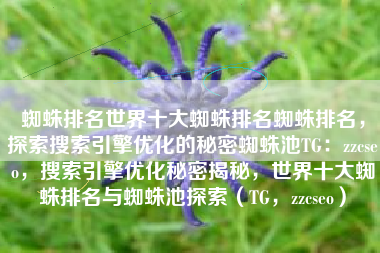 蜘蛛排名世界十大蜘蛛排名蜘蛛排名，探索搜索引擎优化的秘密蜘蛛池TG：zzcseo，搜索引擎优化秘密揭秘，世界十大蜘蛛排名与蜘蛛池探索（TG，zzcseo）