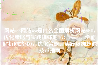 网站seo网站seo是什么全面解析网站SEO，优化策略与实践蜘蛛池TG：zzcseo，全面解析网站SEO，优化策略、实践及蜘蛛池技术指南