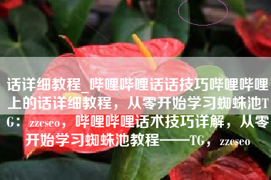 话详细教程_哔哩哔哩话话技巧哔哩哔哩上的话详细教程，从零开始学习蜘蛛池TG：zzcseo，哔哩哔哩话术技巧详解，从零开始学习蜘蛛池教程——TG，zzcseo