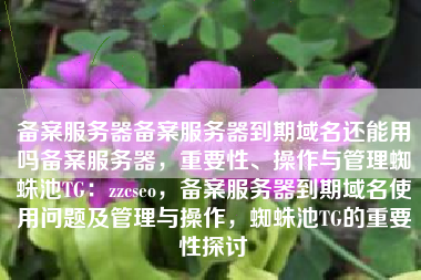 备案服务器备案服务器到期域名还能用吗备案服务器，重要性、操作与管理蜘蛛池TG：zzcseo，备案服务器到期域名使用问题及管理与操作，蜘蛛池TG的重要性探讨