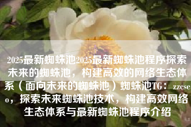 2025最新蜘蛛池2025最新蜘蛛池程序探索未来的蜘蛛池，构建高效的网络生态体系（面向未来的蜘蛛池）蜘蛛池TG：zzcseo，探索未来蜘蛛池技术，构建高效网络生态体系与最新蜘蛛池程序介绍