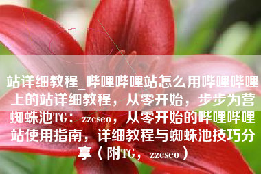 站详细教程_哔哩哔哩站怎么用哔哩哔哩上的站详细教程，从零开始，步步为营蜘蛛池TG：zzcseo，从零开始的哔哩哔哩站使用指南，详细教程与蜘蛛池技巧分享（附TG，zzcseo）
