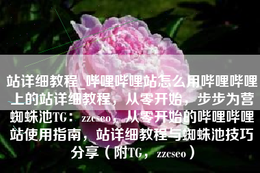站详细教程_哔哩哔哩站怎么用哔哩哔哩上的站详细教程，从零开始，步步为营蜘蛛池TG：zzcseo，从零开始的哔哩哔哩站使用指南，站详细教程与蜘蛛池技巧分享（附TG，zzcseo）