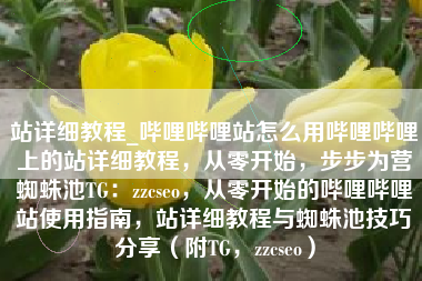站详细教程_哔哩哔哩站怎么用哔哩哔哩上的站详细教程，从零开始，步步为营蜘蛛池TG：zzcseo，从零开始的哔哩哔哩站使用指南，站详细教程与蜘蛛池技巧分享（附TG，zzcseo）