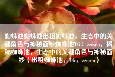 蜘蛛池蜘蛛池出租蜘蛛池，生态中的关键角色与神秘面纱蜘蛛池TG：zzcseo，揭秘蜘蛛池，生态中的关键角色与神秘面纱（出租蜘蛛池，TG，zzcseo）