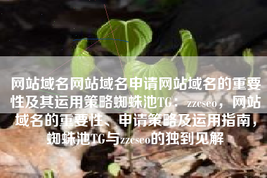 网站域名网站域名申请网站域名的重要性及其运用策略蜘蛛池TG：zzcseo，网站域名的重要性、申请策略及运用指南，蜘蛛池TG与zzcseo的独到见解
