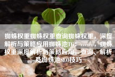蜘蛛权重蜘蛛权重查询蜘蛛权重，深度解析与策略应用蜘蛛池TG：zzcseo，蜘蛛权重深度解析与策略应用，查询、解析及蜘蛛池SEO技巧