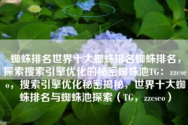 蜘蛛排名世界十大蜘蛛排名蜘蛛排名，探索搜索引擎优化的秘密蜘蛛池TG：zzcseo，搜索引擎优化秘密揭秘，世界十大蜘蛛排名与蜘蛛池探索（TG，zzcseo）