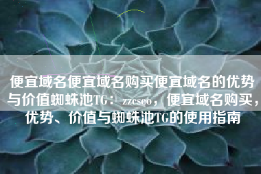便宜域名便宜域名购买便宜域名的优势与价值蜘蛛池TG：zzcseo，便宜域名购买，优势、价值与蜘蛛池TG的使用指南