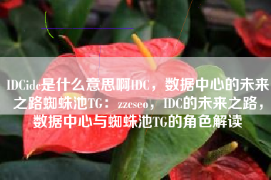 IDCidc是什么意思啊IDC，数据中心的未来之路蜘蛛池TG：zzcseo，IDC的未来之路，数据中心与蜘蛛池TG的角色解读