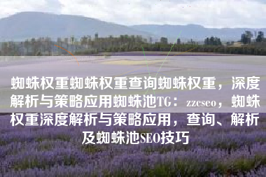 蜘蛛权重蜘蛛权重查询蜘蛛权重，深度解析与策略应用蜘蛛池TG：zzcseo，蜘蛛权重深度解析与策略应用，查询、解析及蜘蛛池SEO技巧