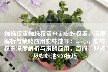 蜘蛛权重蜘蛛权重查询蜘蛛权重，深度解析与策略应用蜘蛛池TG：zzcseo，蜘蛛权重深度解析与策略应用，查询、解析及蜘蛛池SEO技巧