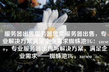 服务器出售服务器售卖服务器出售，专业解决方案满足企业需求蜘蛛池TG：zzcseo，专业服务器出售与解决方案，满足企业需求——蜘蛛池TG，zzcseo