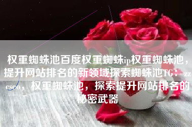 权重蜘蛛池百度权重蜘蛛ip权重蜘蛛池，提升网站排名的新领域探索蜘蛛池TG：zzcseo，权重蜘蛛池，探索提升网站排名的秘密武器