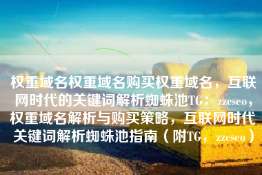 权重域名权重域名购买权重域名，互联网时代的关键词解析蜘蛛池TG：zzcseo，权重域名解析与购买策略，互联网时代关键词解析蜘蛛池指南（附TG，zzcseo）