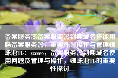 备案服务器备案服务器到期域名还能用吗备案服务器，重要性、操作与管理蜘蛛池TG：zzcseo，备案服务器到期域名使用问题及管理与操作，蜘蛛池TG的重要性探讨