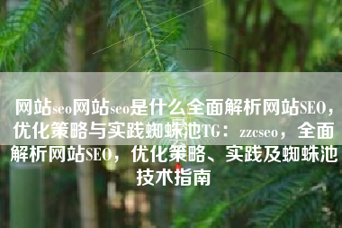 网站seo网站seo是什么全面解析网站SEO，优化策略与实践蜘蛛池TG：zzcseo，全面解析网站SEO，优化策略、实践及蜘蛛池技术指南