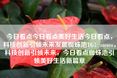 今日看点今日看点美好生活今日看点，科技创新引领未来发展蜘蛛池TG：zzcseo，科技创新引领未来，今日看点蜘蛛池引领美好生活新篇章