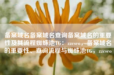 备案域名备案域名查询备案域名的重要性及其流程蜘蛛池TG：zzcseo，备案域名的重要性、查询流程与蜘蛛池TG，zzcseo