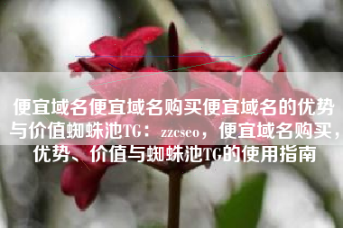 便宜域名便宜域名购买便宜域名的优势与价值蜘蛛池TG：zzcseo，便宜域名购买，优势、价值与蜘蛛池TG的使用指南